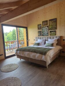 Chambre verte des Gîtes aux Mélèzes de Xavier